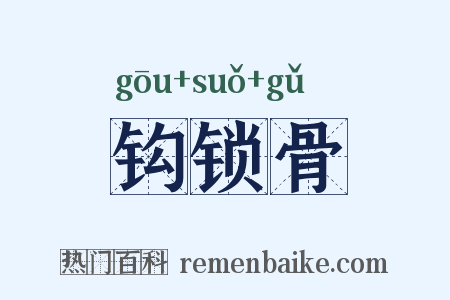 钩锁骨是什么意思的图片